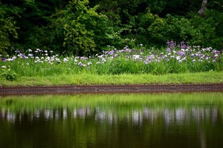 DSC_0531.jpeg