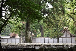 DSC_0848.jpeg